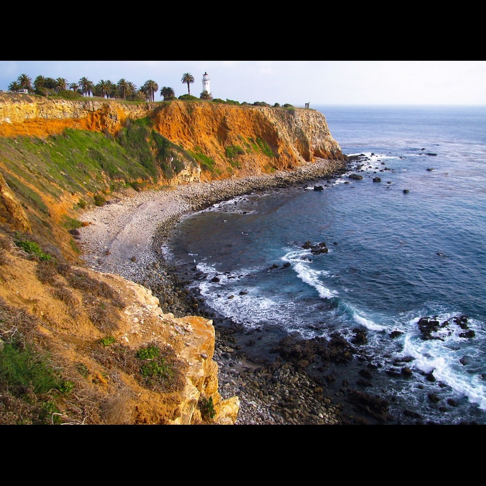 Meet your Posher, Brendy